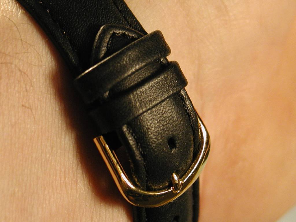 Timex strap